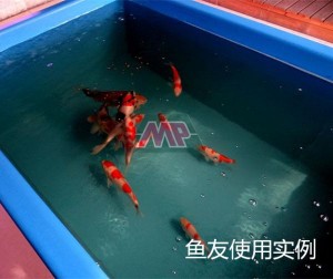 fiberglass KOI pond