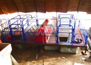 fiberglass Incubator